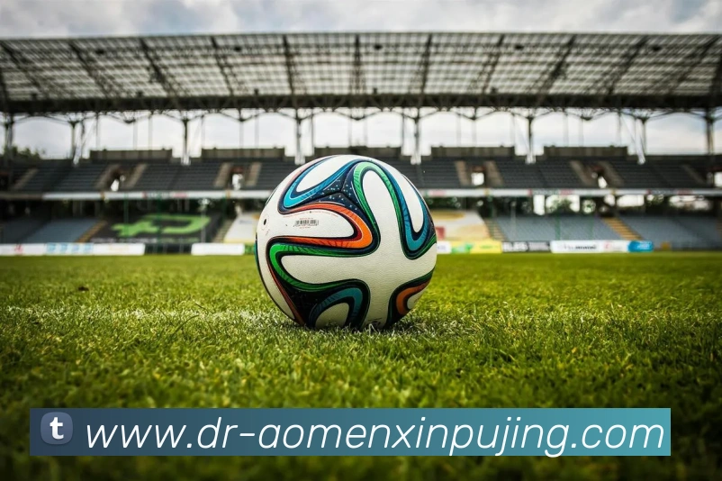 澳门新葡京娱乐发展历程